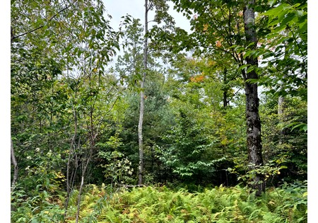 NY hunting land for sale