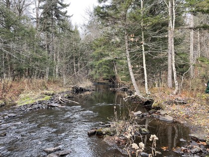 NY waterfront land for sale