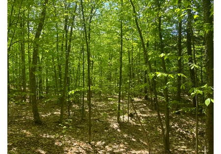 Adirondack land for sale