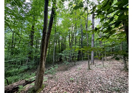 NY cabins for sale