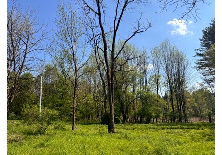NY land for sale in Tug Hill area