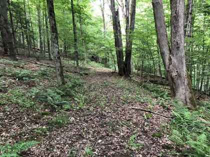 Southern tier land for sale in Harford NY