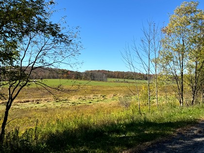 NY Southern tier NY hunting land for sale