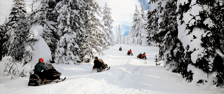 snowmobiling land for sale ny state snowmobiles in snowy area surrounded by trees from land and camps