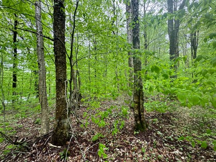 NY camps for sale