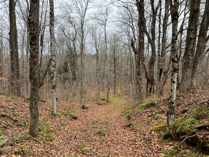 NY log cabin for sale