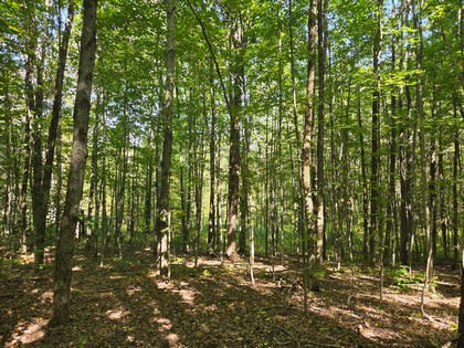 Adirondack NY land for sale, adirondacks, land and camps, ny properties, christmas associates