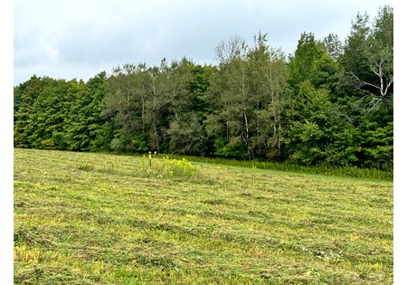 Finger Lakes NY area land for sale