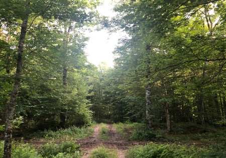 land camp for sale osceola ny