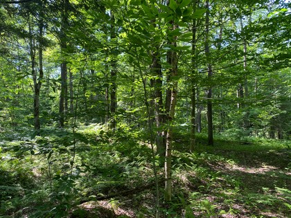 NY land for sale in Florence NY