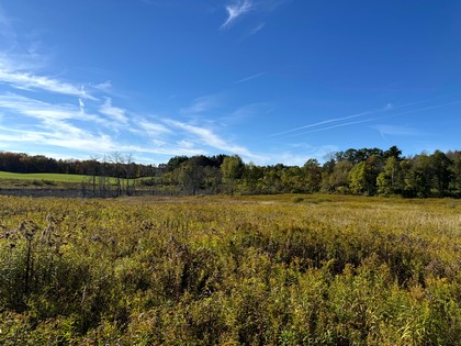 NY Southern Tier land for sale