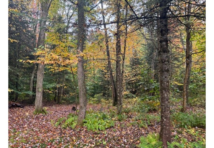 NY hunting camps for sale