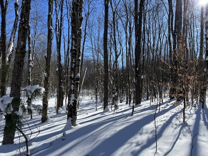 NY land for sale