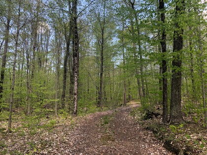 Adirondack area NY land for sale