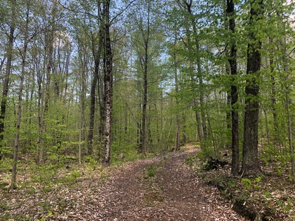 Adirondack area NY land for sale
