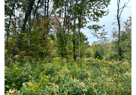 NY hunting land for sale