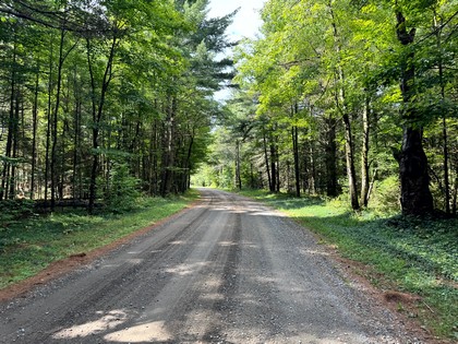 Adirondack land for sale