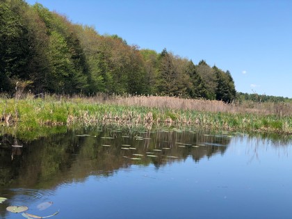 NY waterfront land for sale in Amboy NY