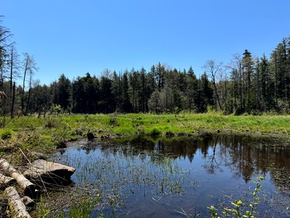 NY camps for sale