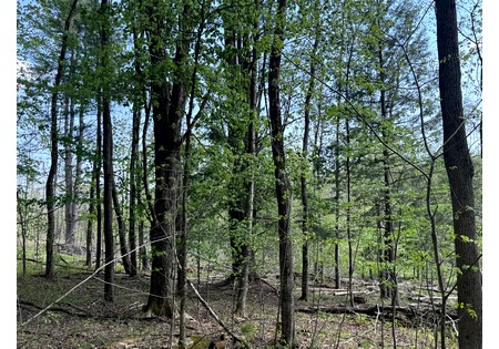 Land for sale in Tug Hill NY