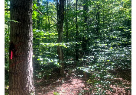 NY hunting land for sale