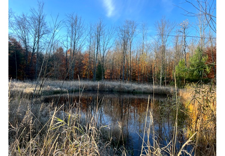 NY cabins for sale