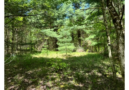 NY land for sale near Oneida Lake