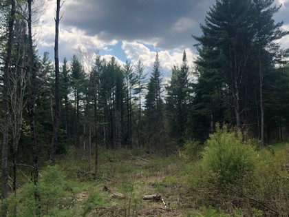 Land near Adirondacks for sale
