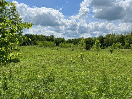 NY land for sale near Salmon River - Orwell, NY