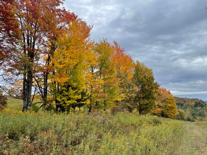 NY land for sale near Catskills