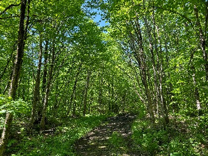 NY waterfront land for sale