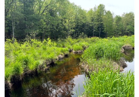 NY hunting land for sale