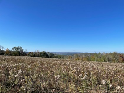 NY hunting land for sale in southern tier