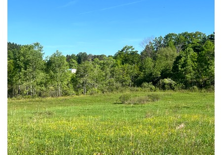 NY Southern Tier land for sale