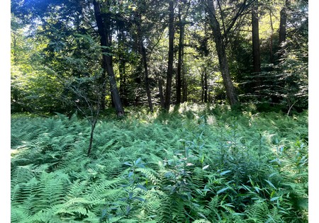 NY hunting land for sale