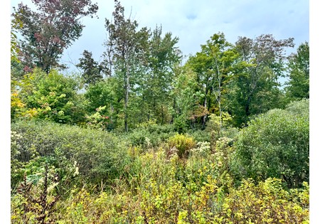 NY hunting land for sale