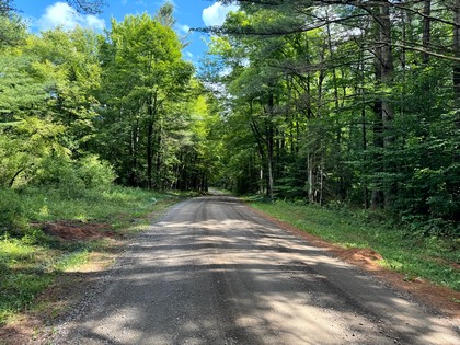 Adirondack land for sale