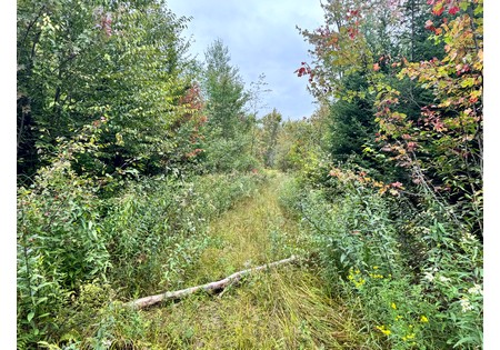 NY hunting land for sale