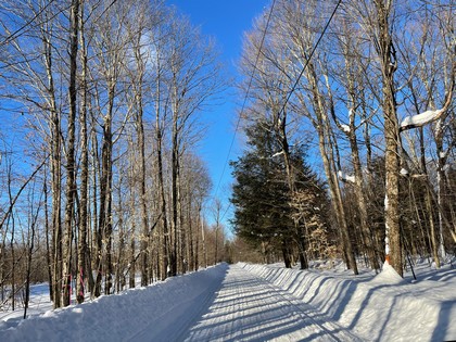 NY hunting land for sale Diana NY