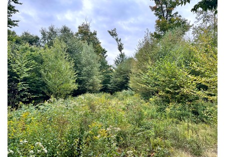 NY land for sale