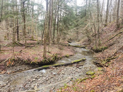 Cortland County NY land for sale