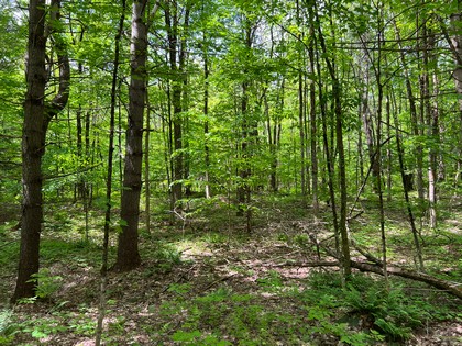 NY land for sale near Salmon River NY