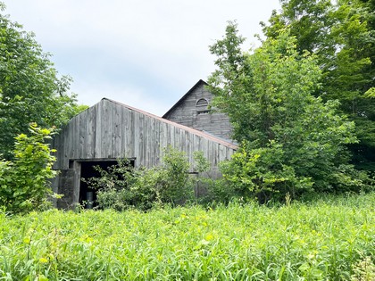 NY farmhouse for sale near Salmon River