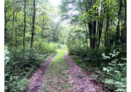 Camps for sale Williamstown NY