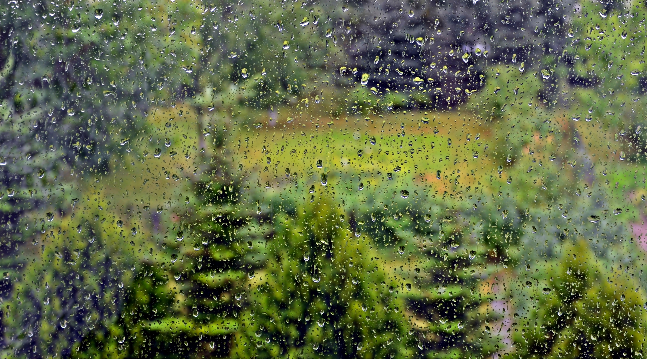 blurred view of the outdoors through a rain speckled window in ny state