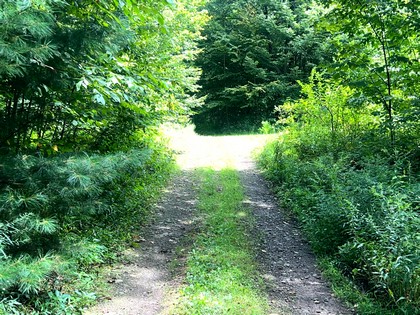 NY camps for sale