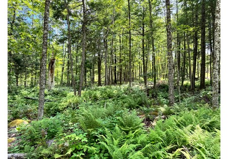 NY land for sale