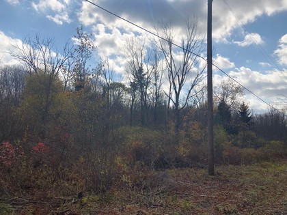 NY state forest land for sale in Pharsalia, NY