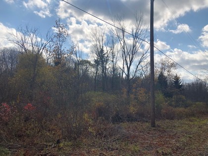 NY state forest land for sale in Pharsalia, NY