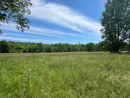 NY land for sale